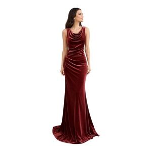 Revelry Velvet Maxi Evening Gown Romantic Rose Draped Cowl Neck Women’s 8